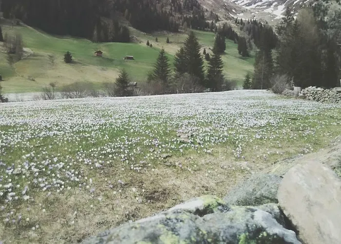 Haus Fuerhapter Markus 3* Innervillgraten