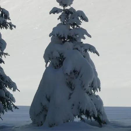 Haus Fuerhapter Markus 3*