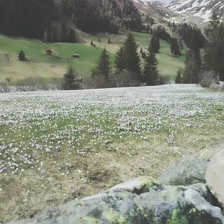 Haus Fuerhapter Markus 3* Innervillgraten